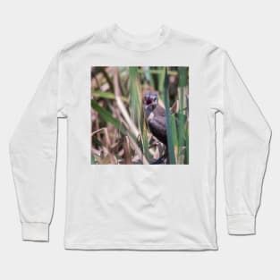 Young Great Tailed Grackle Calling for Food Long Sleeve T-Shirt